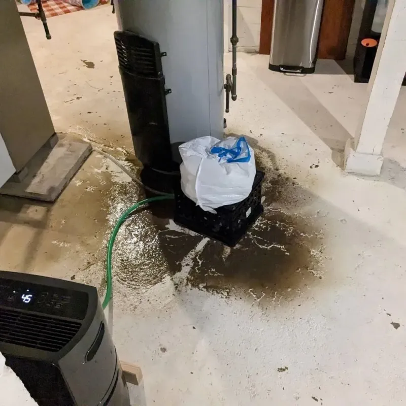 Sewage Backup Cleanup Service in Eastmont, WA